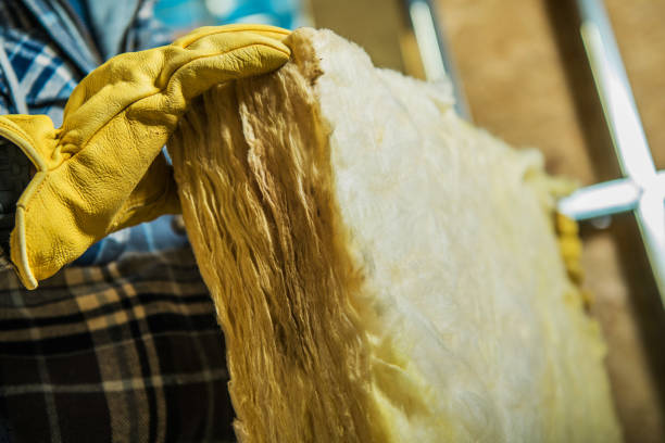Best Geographic-Specific Insulation Services in Rockport, IN